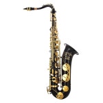 글로리 B 플랫 테너 색소폰 케이스 10pc 리드 마우스 피스 나사 드라이버 니퍼 장갑 한 켤레 부드러운 청소용