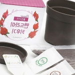 반려식물 재배 꽃집사 화분 식물 육성 원예 초보자 코스모스