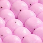 푸르젠 당일생산발송 HACCP 고구마 잔기지떡 30개입 총 900g