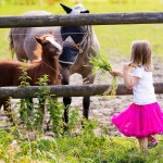 소 말 양 방목 구리 방울 작은 황동 염소 농장 시끄러운 청동 장거리 철 크리스마스 장식용 2가지 10개