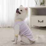 루비디 루비디 루루 티셔츠 라벤더 강아지옷 S 루루티셔츠-라벤더 1개