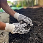 웰스 라몬트 캔버스 작업 장갑 이코노미 점선 6켤레 팩 309K
