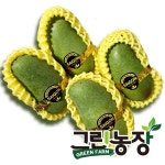 그린농장 그린농장 베트남 베이비 그린망고 Vietnam Baby mango 1박스 5kg 20과 내외