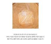 모던레시피 대나무 화분 커버 바구니