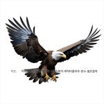 독수리 모형 조류 까치 도구 피규어 독수리모형 가짜새 정원 가짜 G A LL264-53