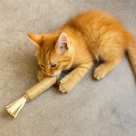 고양이 이갈이 마따따비 나무 막대 스틱