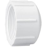 LASCO FITTINGS INC 1-1 2 FIPT 캡 448-015 3