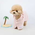 그루밍독 강아지 곰돌이 테리 가운 1개