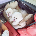 바비숑 강아지 카시트 시즌3 4컬러 확장형 에어발판포함 애견 반려견 펫 프리이엄아이보리