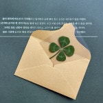 알럽하우스 행운의 네잎클로버 클로버4 봉투4 위로 응원 선물