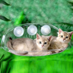 고양이 창문해먹 투명 캣타워 냥이 낮잠 휴식 숨숨집 PE 1개