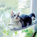 고양이 창문해먹 투명 캣타워 냥이 낮잠 휴식 숨숨집 PE 1개