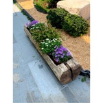 소여물통 목재 나무화분 빈티지화분 통나무 마당 80 빈티지 화분 인테리어 정원