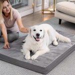애견 매트리스 강아지쿠션 논슬립 대형견 소형견침대 강아지메모폼 애견침대 73x45 양면펫매트
