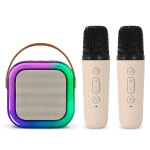 라익미 라익미 BC15 풀럼파티 무선 블루투스 스피커 마이크 세트