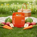 보성식품 바른농장 유기농 CCA 클렌즈 주스 프리미엄 100ml 