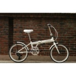 티티카카 플라이트 F7 2010년