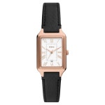 파슬 QUARTZ RGLD es5310