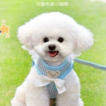 강아지 날개 소형견 리드줄 이쁜 반려견 가슴줄