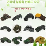 거북이 육지 거북이키우기 반수생거북이 쉼터 은신처