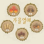 가을열매관찰 어린이집 유치원 환경구성 교실 꾸미기