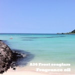 프래그런스 오일 A36 애월의여름바다 디퓨저 향수 향오일 1개 1L A036 애월의여름바다