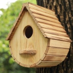STARSWR 야외용 새집 천연 나무 새집 정리 블루버드 핀치 카디널스 매달아 정원 관람용