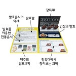 김치 발효식품 입체 팝업북만들기