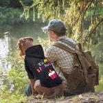 강아지 고양이 소형 대형견을 위한 그린조이 강아지 스웨터 후드 추운 날씨 코트 스웨트셔츠 내 생일 중형