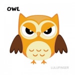 보석십자수 화난부엉이 2S-02-201