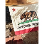 커넷 DSVK 그로밋 SHOWN 욕실 AS 곰 커튼 1 후크 샤워 장식 캘리포니아 깃발