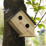 야외용 새집 나무집 정원 관람용 블루버드 집 -2홀 나무 1 WOODEN