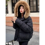 디애이치 콜린느 코튼 패딩 자켓