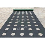 유공부직포 덮개 잡초 박다 1 필름 구멍 농업용 16센티미터로 비닐 타공 원예 100m 50개를 제초매트 텃밭 화훼 1 16센티미터로 50개를 박다