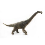 쥬라기 공룡 브라키오사우루스 피규어 놀이방 유치원 토이