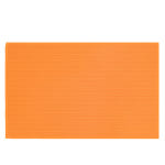 프로텍메디칼 모아온 찜질기 황토 기본형 PRHP01