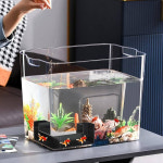 치어 코너 터널 은신처