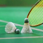 페더 셔틀 배드민턴 새들 - 셔틀콕 라켓 게임 빠른 비행 새들 주니어 선수들을 위한