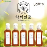 하성벌꿀세트 북부농협 1등급 하성 벌꿀 5병 야생화
