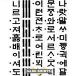 한글 태극기와 훈민정음 티셔츠 Korean Flag Hangul Tee