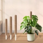 코코넛 수태봉 몬스테라 식물지지대 연결형 플라스틱