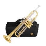 AUROSUS Bb 트럼펫 브라스 리드파이프 입파이프 고급 학생 전문 악기 초보자용 710 브라스 SB710