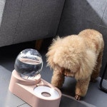 강아지 자동 급수기 1 8L 애견 급식기 버블핑크 반려견 사료 용기 WFK7DCG