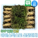 6-5년근 수삼 아이스 선물세트 2호 특 1kg 9-12뿌리 인삼 선물세트 신선포장 추석 명절 한가위 이바지용