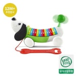 립프로그 알파벳 퍼피-그린 돌선물 돌아기장난감 조카선물 아기선물