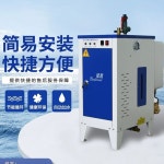 증기 발생기 스팀 공장 보일러 농업용 드라이클리닝 축사 에너지