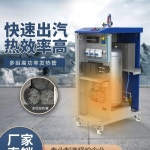 증기 발생기 스팀 공장 보일러 농업용 드라이클리닝 축사 에너지