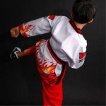 무술공연 주니어용 태권도 불꽃 품도복 수련도복 유아도복 체육활동 교양운동