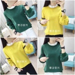 빨강몽키 rrm8155 카라티셔츠 여성 카라셔츠 여성티셔츠 긴팔티셔츠 후드티셔츠 긴팔 티셔츠 L 55 그린