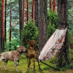 ZAIXIA 카모 트리 캠핑 의자 사냥 해먹 시트 휴대용 경량 나무 위에 놓여 있습니다 Camo Tree